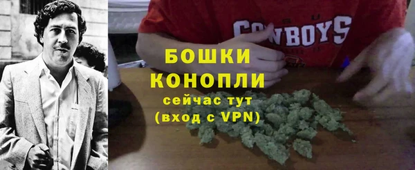 сатива Каменск-Шахтинский