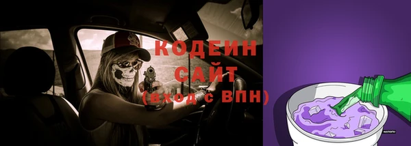 хмурый Каменка