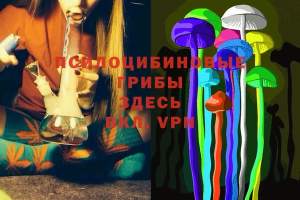 сатива Каменск-Шахтинский