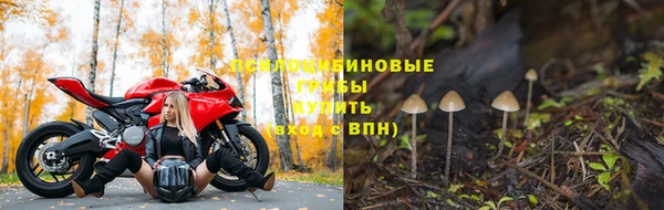 гидропоника Каменногорск